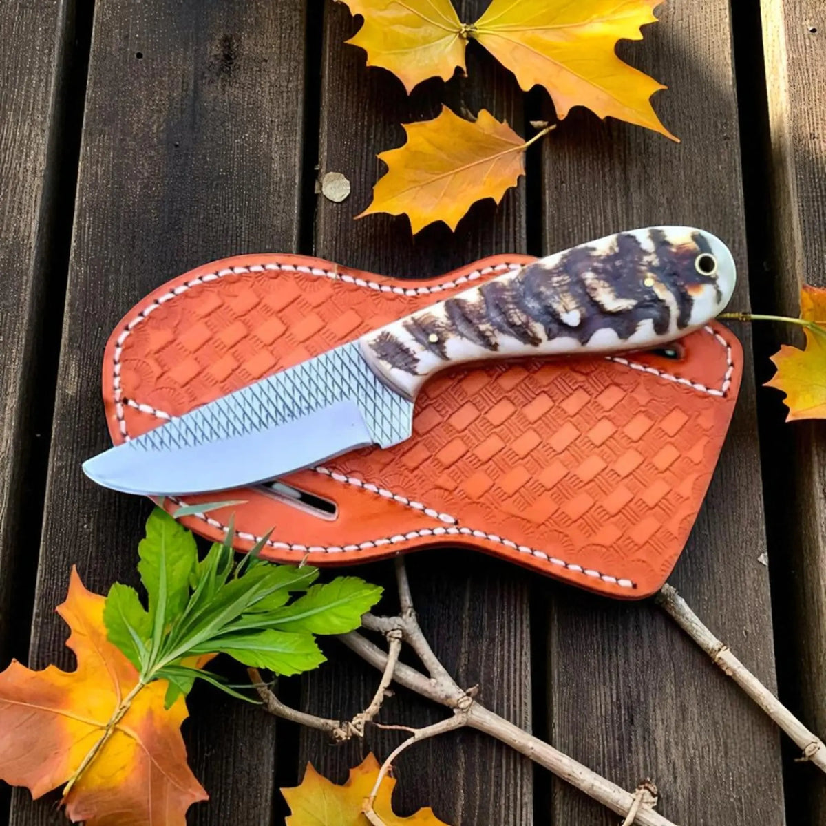 Frontier Fang ranch knife with sheep horn handle and crosshatched blade, displayed on a leather sheath and rustic wood background with fall leaves.