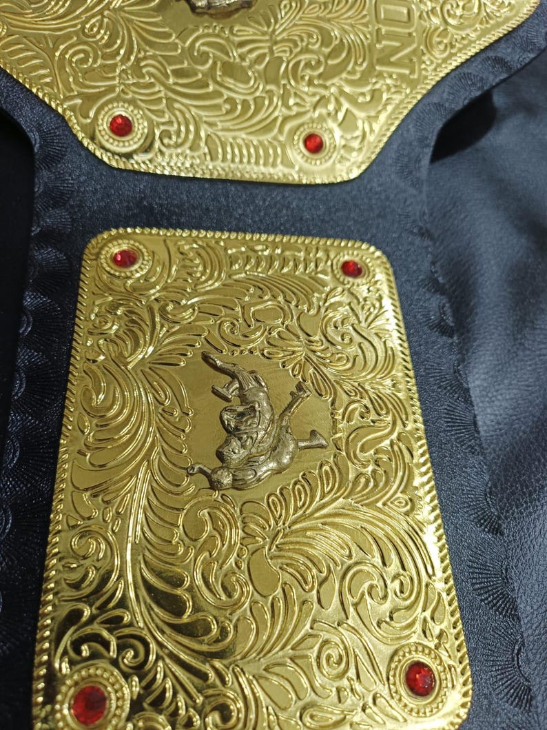 Big Gold World Heavyweight wrestling Title belt with Ric Flare Name Plate, 2mm Brass plates Adult Size
