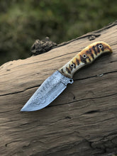 Lade das Bild in den Galerie-Viewer, Damascus Steel Ram Horn Knife - Arham Cutlery
