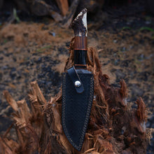 Load image into Gallery viewer, Vintage Damascus Steel Bowie knife | Hunting knife | Viking knife | Deer horn handles knife | Engraved knife | Christmas Gift | Arham Cutlery
