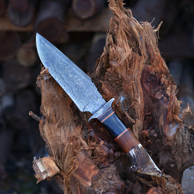 Vintage Damascus Steel Bowie knife | Hunting knife | Viking knife | Deer horn handles knife | Engraved knife | Christmas Gift | Arham Cutlery