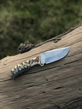 Load image into Gallery viewer, Damascus Steel Ram Horn Knife - Arham Cutlery
