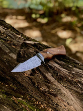 Load image into Gallery viewer, Handmade Damascus Steel Hunting Fixed Blade - Arham Cutlery
