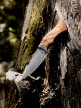 Cargar imagen en el visor de la galería, Handmade Damascus Steel Hunting Fixed Blade - Arham Cutlery
