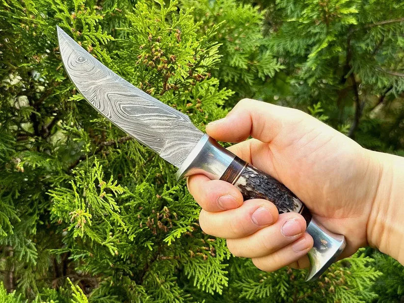 A hand holding a Damascus steel fixed-blade knife with a patterned steel blade and a dark, textured handle, set against a background of green coniferous foliage.