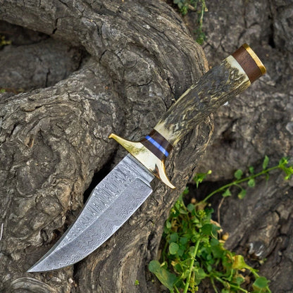 A custom fixed-blade knife with a patterned Damascus steel blade, a horn guard, and a multi-material handle, resting on a textured tree root outdoors.