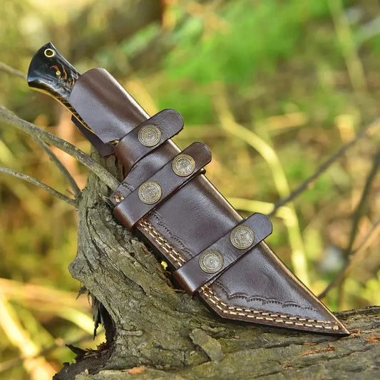 A dark brown leather knife sheath with brass snap buttons and contrast stitching, holding a knife with a black handle, resting on a tree branch in an outdoor forest setting.