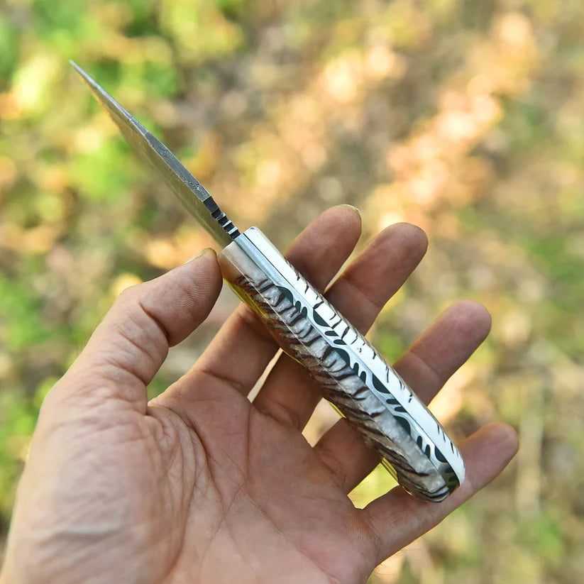 A hand holding a small folding knife with a silver metal blade and a textured silver handle, set against a blurred outdoor background of green and brown foliage.