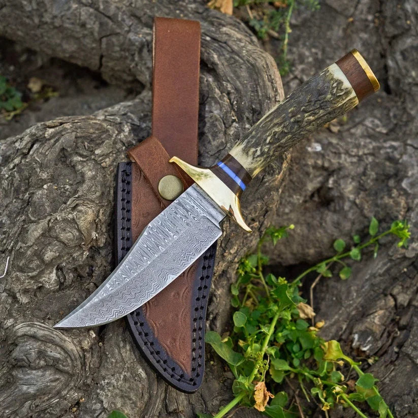 A fixed-blade knife with a patterned steel blade, a natural antler-style handle, and brass accents, shown resting on a brown leather sheath outdoors on textured tree bark with small green plants.