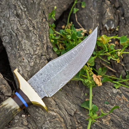 A fixed-blade knife with a patterned Damascus steel blade, a brass guard, and a brown handle with a blue accent band, resting on textured tree bark with green plants.
