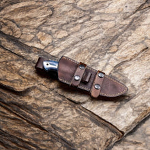 Cargar imagen en el visor de la galería, Handmade Fixed Blade Knife With Camel Bone Scales and Leather Sheath
